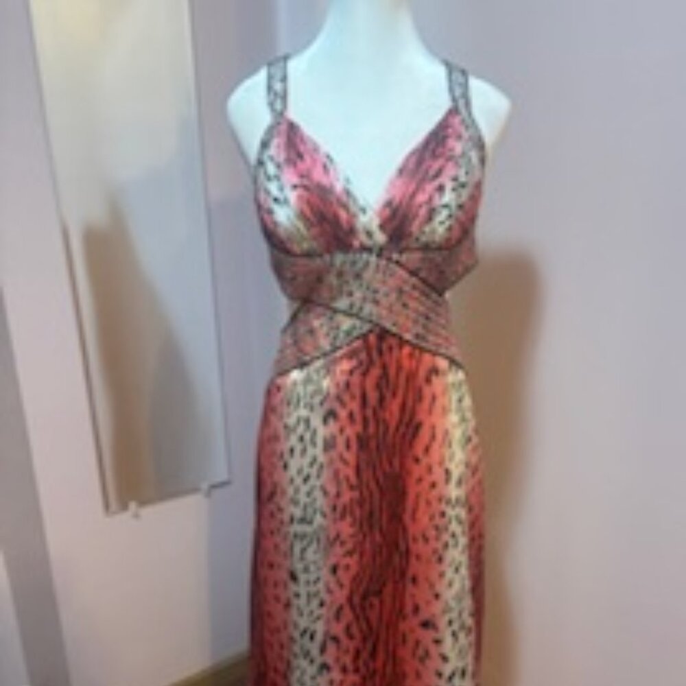 Size 2, La Femme Paris Animal Print Gown